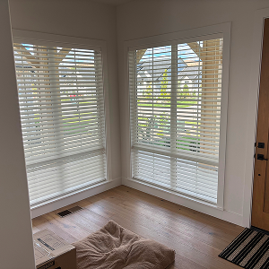 Custom Blinds Icon